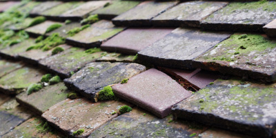 Trowell roof repair costs